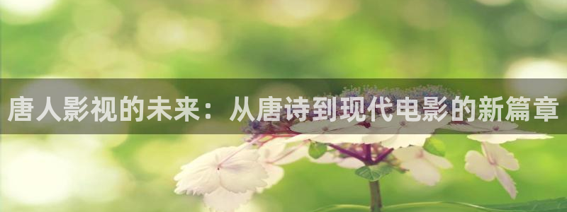 紅葉影院：唐人影視的未來：從唐詩到現(xiàn)代電影的新篇章