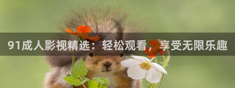 六安紅葉影城電影：91成人影視精選：輕松觀看，享受無限樂趣